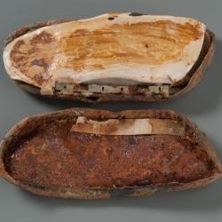 Case, Recovered