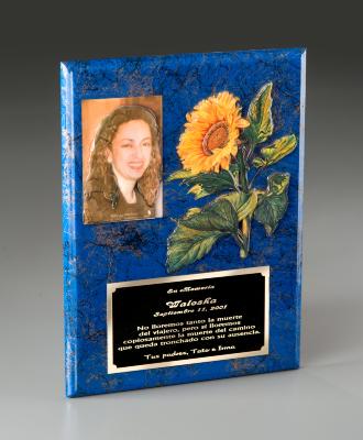Plaque