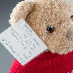 Stuffed Toy