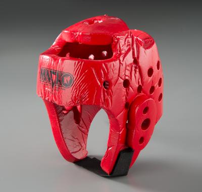 Sparring Helmet