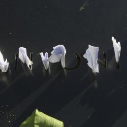 Notes