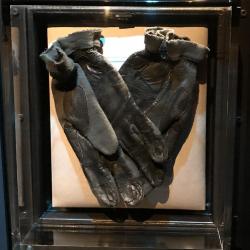 Gloves 