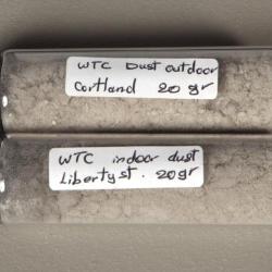 Collected Dust