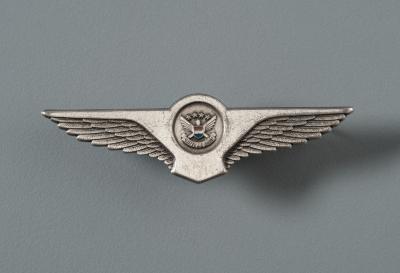 Flight Attendant Wings 