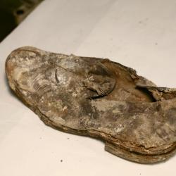 Shoe, Recovered 