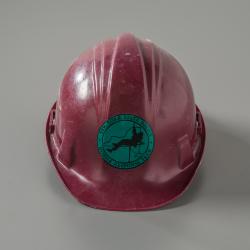 Hard Hat 