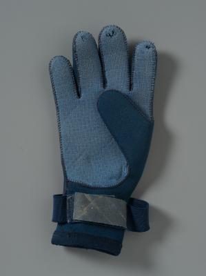 Glove