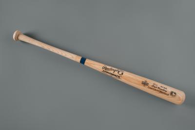 Baseball Bat