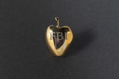 Lapel Pin