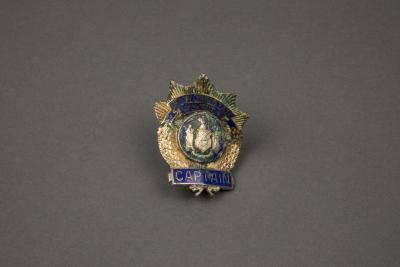 Badge, Recovered