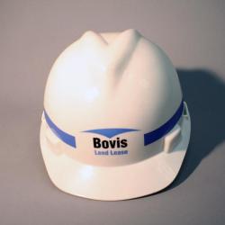 Hard Hat 