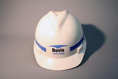Hard Hat