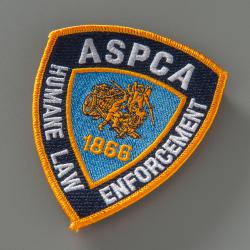 Patch
