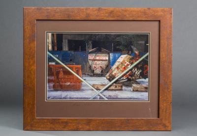 Photograph, Framed Print