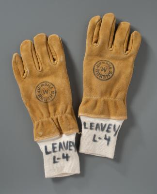 Gloves
