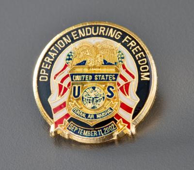 Lapel Pin