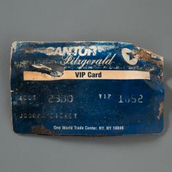 Credit Card, Recovered 
