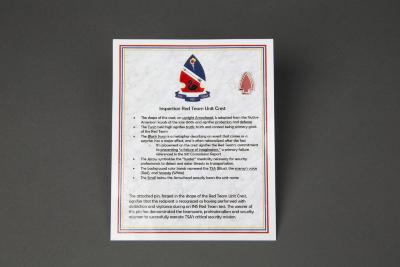 Lapel Pin