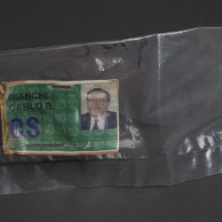 Flag, Recovered