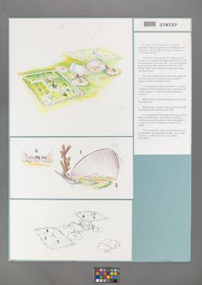 Design Plan