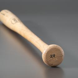 Baseball Bat