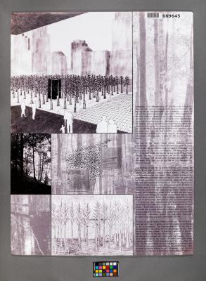 Design Plan
