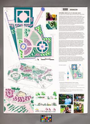 Design Plan