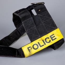 Dog Harness