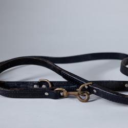 Leash