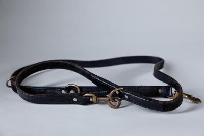 Leash