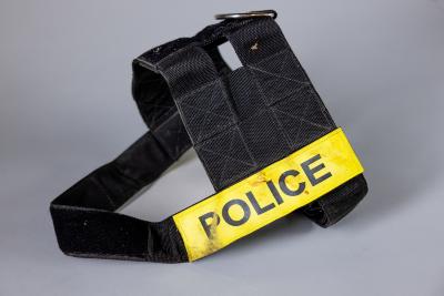 Dog Harness