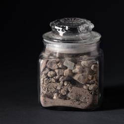 Collected Dust