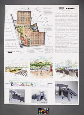 Design Plan