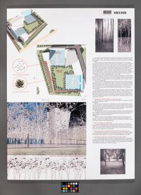 Design Plan