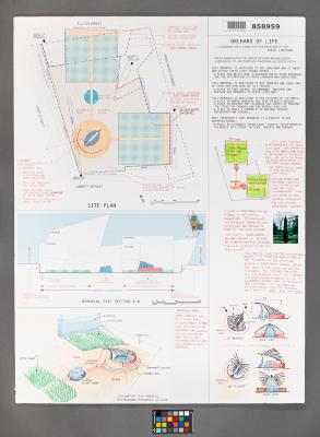 Design Plan