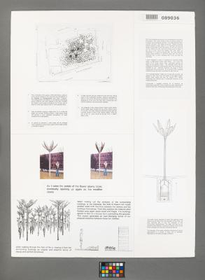 Design Plan