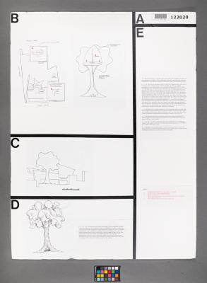 Design Plan