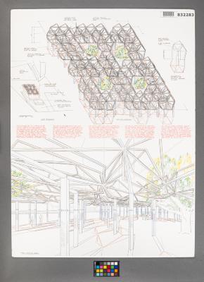 Design Plan