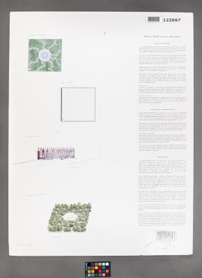 Design Plan