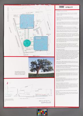 Design Plan