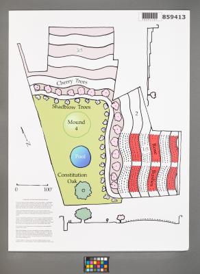 Design Plan