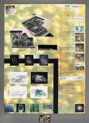 Design Plan