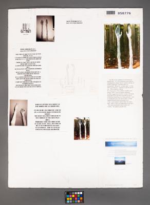 Design Plan