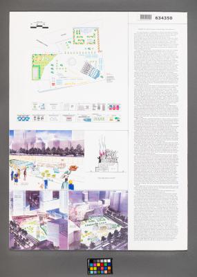 Design Plan