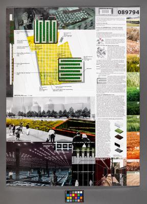 Design Plan