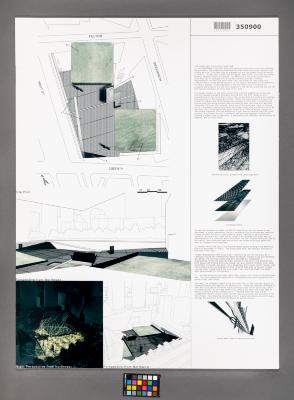 Design Plan