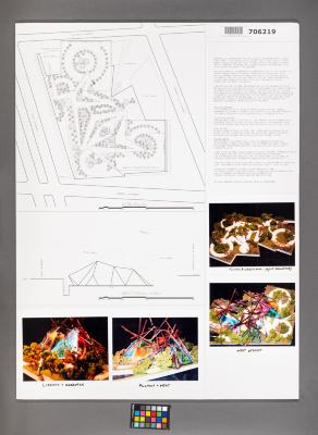 Design Plan
