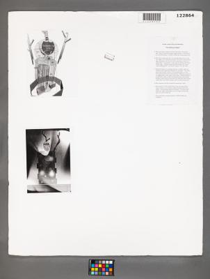 Design Plan