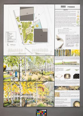 Design Plan