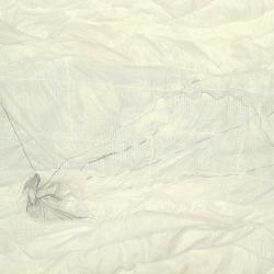 Quilt